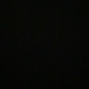 Meet your Posher, Nina